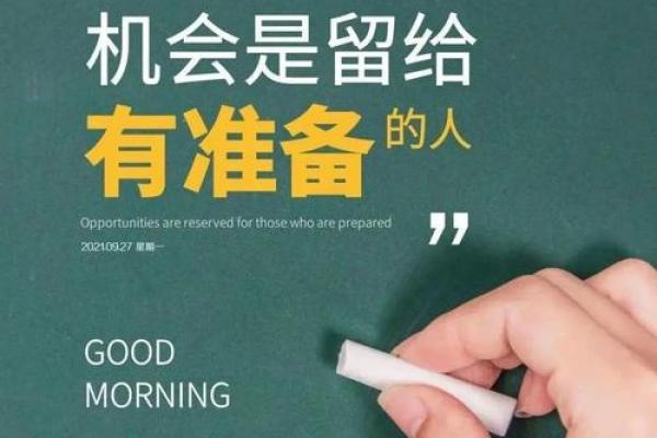 2006年金命解析：揭秘属于你的命理运势与人生旅程