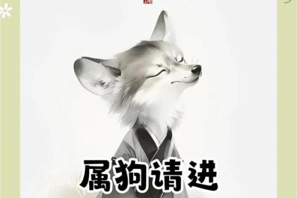 1985年属狗的命运与性格解析，探寻人生的真谛与未来的可能