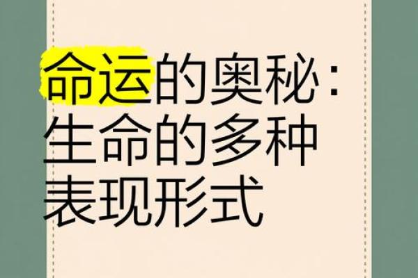 多命换一命：探索命运与选择的奥秘