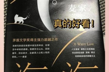 大海命：探索生命的深邃与辽阔，汲取自然的智慧与启示