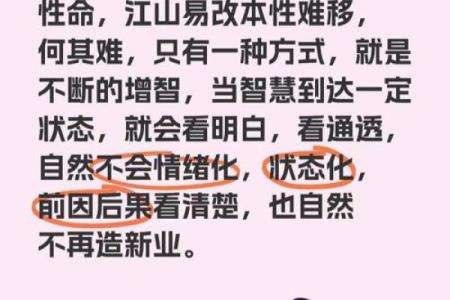 多命换一命：探索命运与选择的奥秘