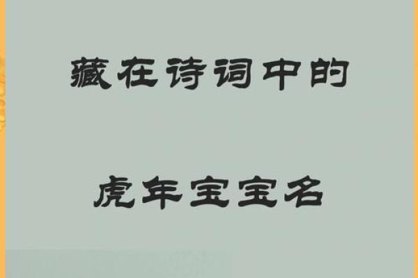 虎年宝宝的命运解析：生于凌晨的独特力量与未来展望