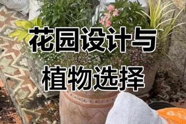 城头土命与花卉的完美搭配：适合的花卉解析