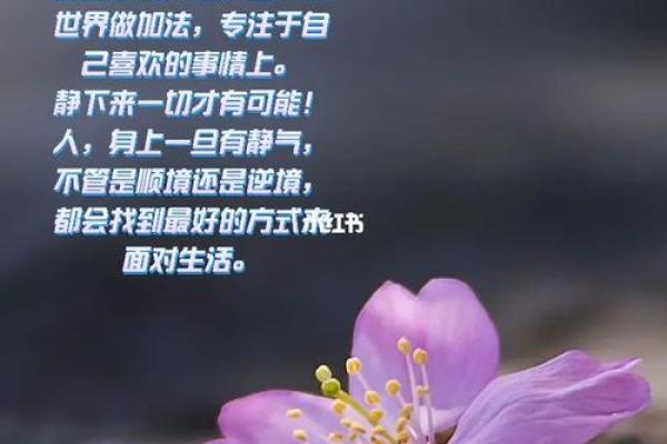 1967火命之人：如何找回内心的力量与平衡