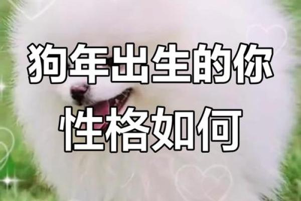 正月出生的狗年命理解析：探秘属狗之人的性格与命运