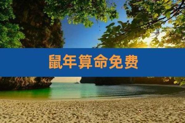 2020年属相运势解析：揭示鼠年命理与生活的多重含义