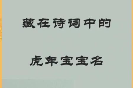 虎年宝宝的命运解析：生于凌晨的独特力量与未来展望