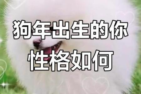 正月出生的狗年命理解析：探秘属狗之人的性格与命运
