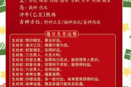 探索2022本命年：如何迎接属于你的幸运之年！