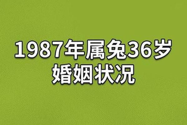 1987年出生的火命人：热情似火，人生燃情岁月！