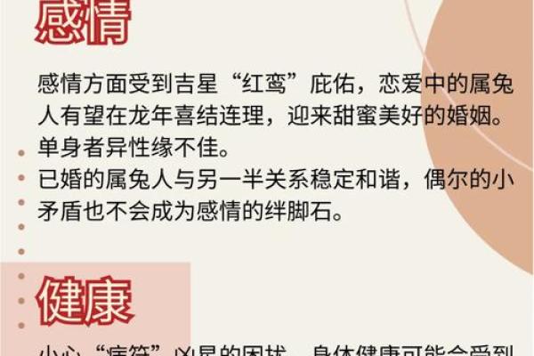 2023兔年命理解析：兔子命的性格与命运揭秘