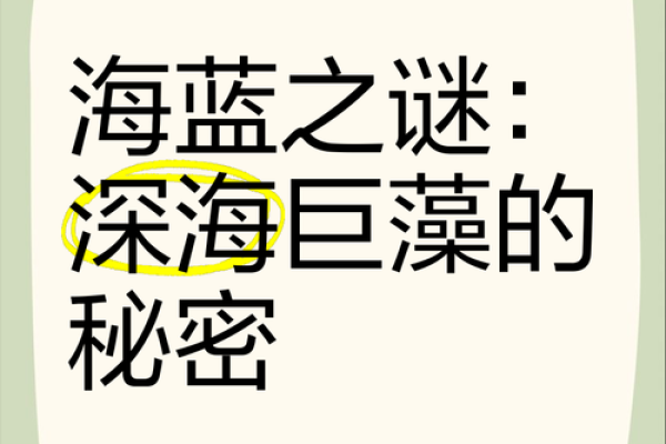 海洋的奇妙色彩：解码海水的颜色之谜