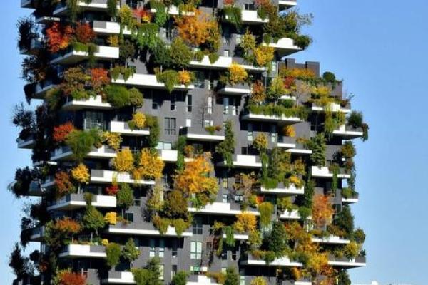 金命者的理想居住环境：与自然和谐共处的优雅生活