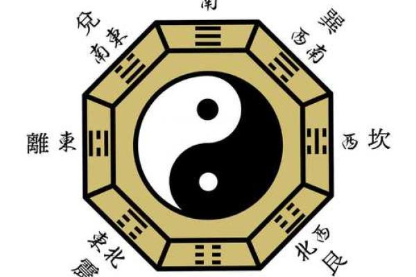 东4命与西4命：命理中的根源与差异探究