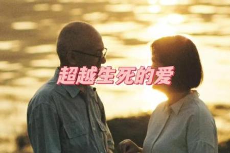 探寻遗失的温暖：无外公命背后的情感旅程