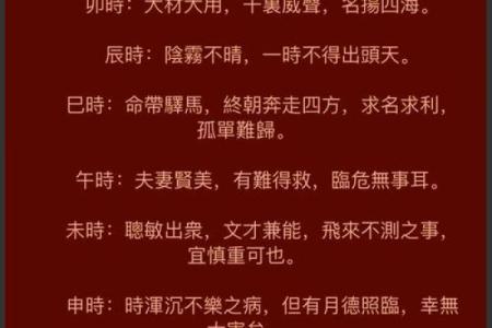 2023兔年命理解析：兔子命的性格与命运揭秘