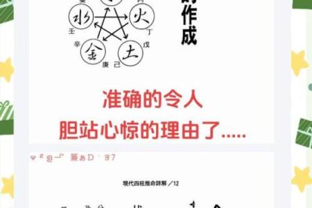 东4命与西4命：命理中的根源与差异探究