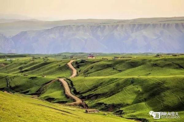 1974年：牛年命与人生智慧的交织之旅