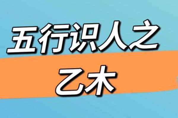 乙木命解析：平地木命的内涵与象征意义