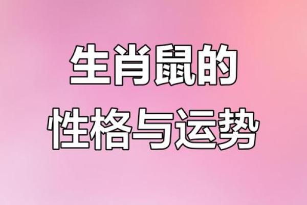 1984年属鼠的人，他们的命运与性格特征解析