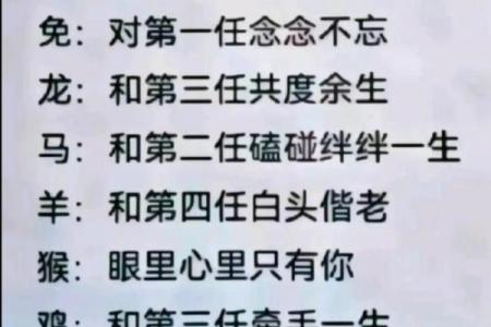 解密生肖，揭示哪个生肖最有魅力与运势！
