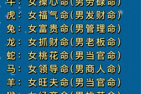 贵妇命与富贵命：命运背后的独特差异解析