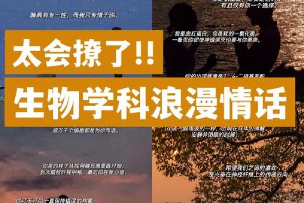 19985年5月25日出生的命运解析，探索生命的奥秘与精彩