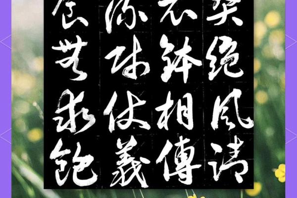 探寻酒与命运的奇妙联系，成语背后的故事与智慧