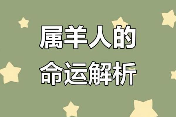 2023年属羊命运解析：逆境中的转机与好运之路