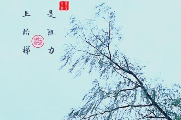 耳顺之年，听见人生的智慧与美好