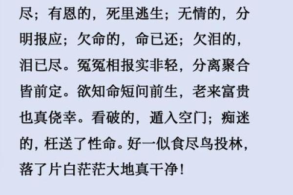 飞凤命的深刻含义与生活启示