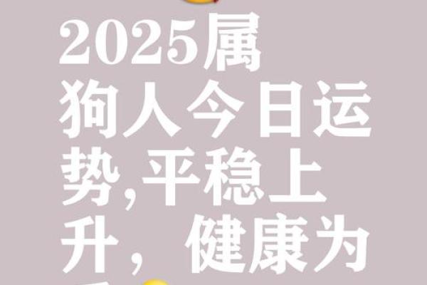 2018年生肖狗的命运与生活启示：如何把握机遇、展现自我