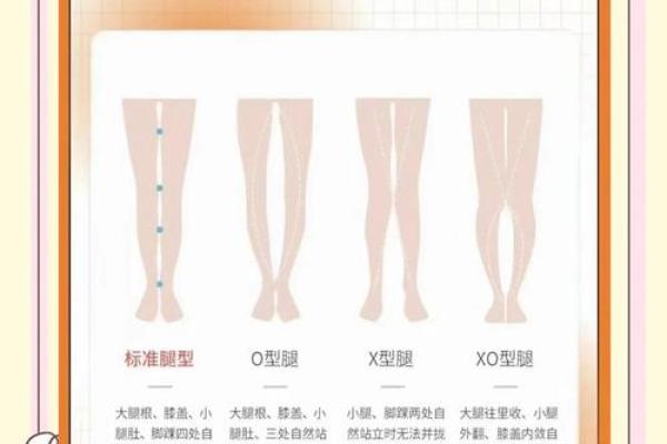 揭秘女人的腿长与命运的微妙关系