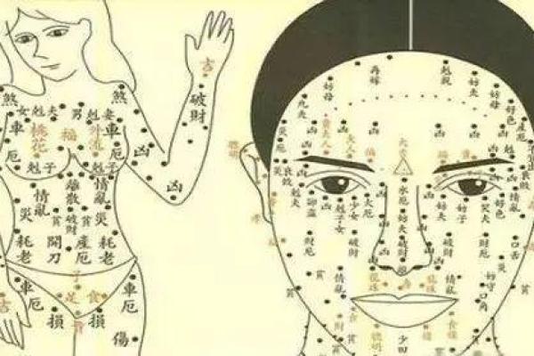 1997年正月出生的命格分析：揭开你的命运密码