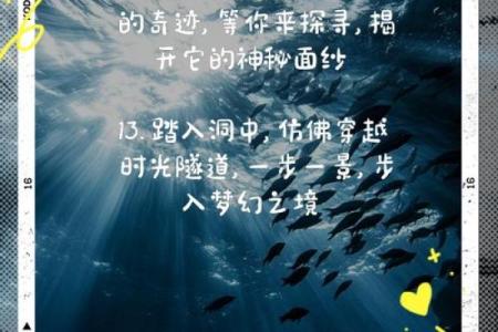 探索命石者的神秘世界：揭示他们的独特动作用途与魅力