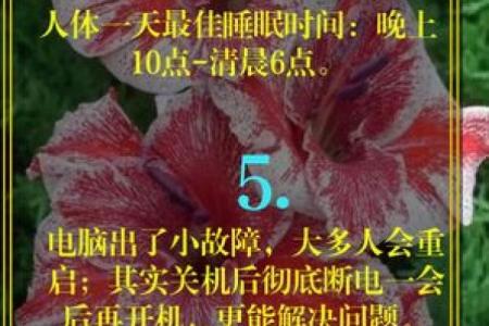 天生干燥粗糙？解析命理与生活的秘密