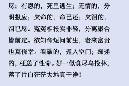 飞凤命的深刻含义与生活启示