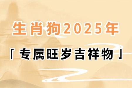 2018年生肖狗的命运与生活启示：如何把握机遇、展现自我