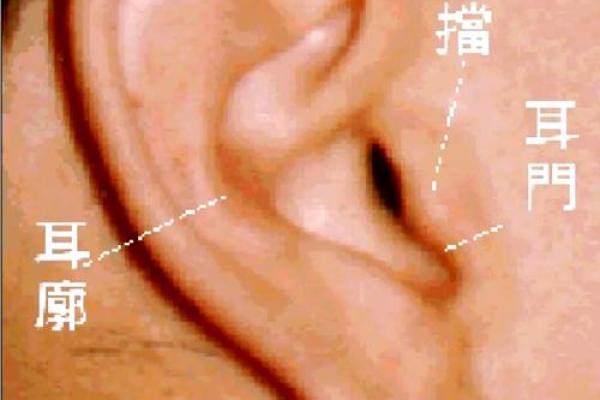 肖姓命理解析：探寻肖姓之人的命运与性格特征