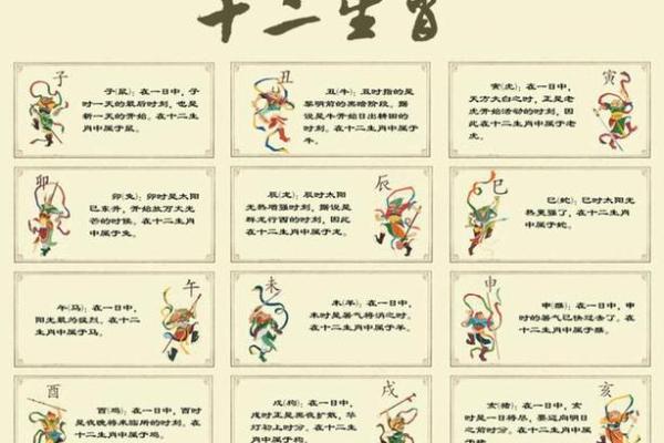 肖姓命理解析：探寻肖姓之人的命运与性格特征