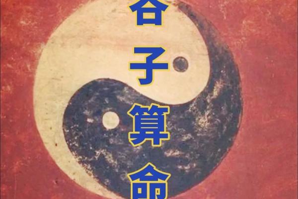 了解2008年土命的特征与影响：命理启示与人生哲学