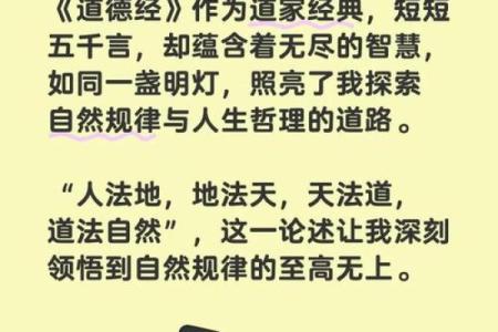 探秘命格：百花之命的深刻寓意与人生启示