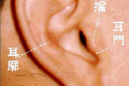 肖姓命理解析：探寻肖姓之人的命运与性格特征