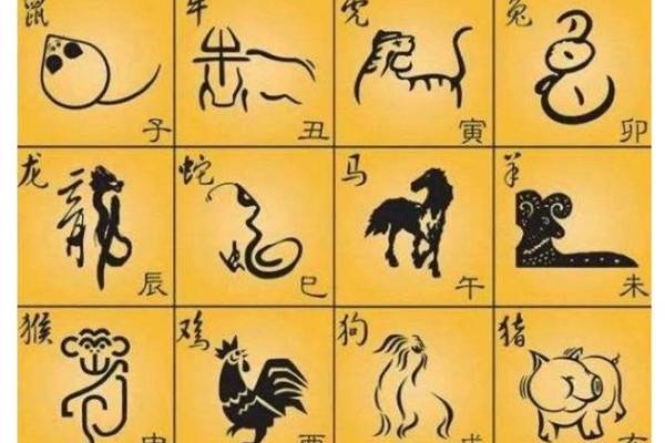 1977年出生的属相与命运探秘：细数人生的精彩轨迹