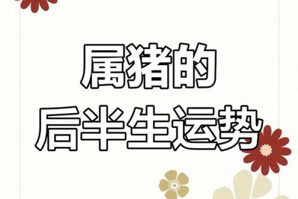 猪年出生的人：75岁的时候命理分析与生活智慧