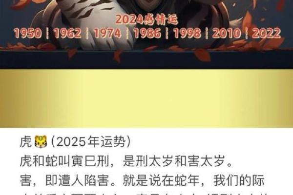 二零一零年属虎，解析命理与人生轨迹的深刻内涵