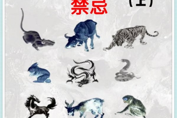 鸡年土命的人适合什么颜色？探寻五行之美与生肖魅力