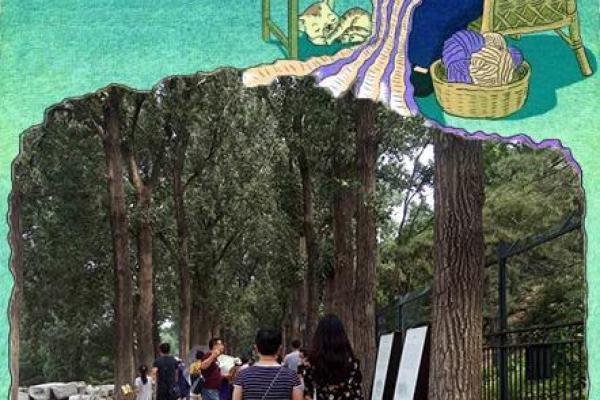 没有双手的人如何绘制人生的美丽篇章