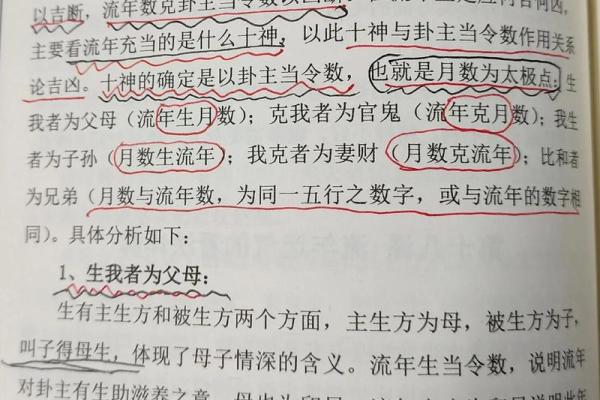 流年金入命：破解运势背后的秘密与关系