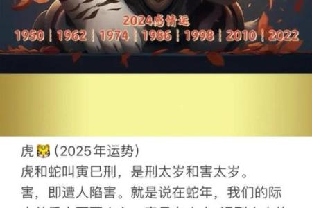 二零一零年属虎，解析命理与人生轨迹的深刻内涵